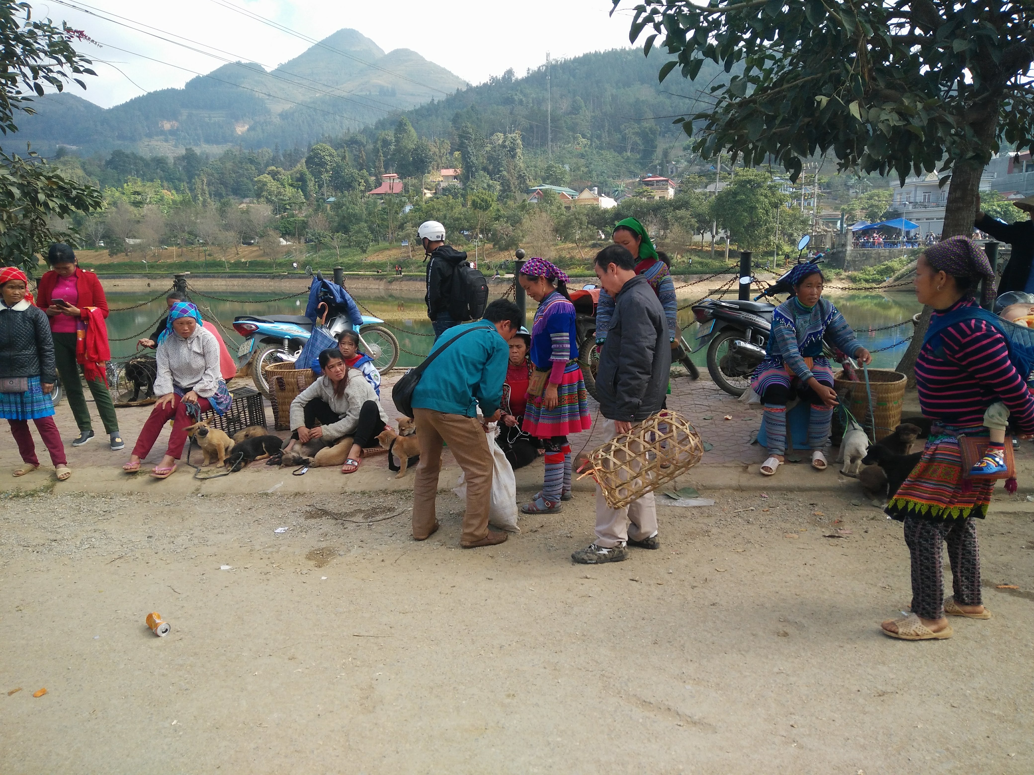 Participant observation in local market